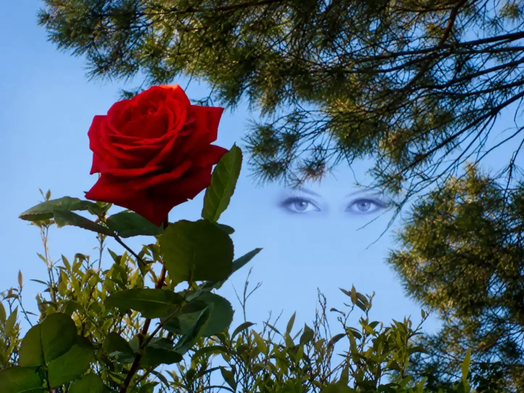 Occhi che ridono – immagine di copertina della poesia di Oneiros