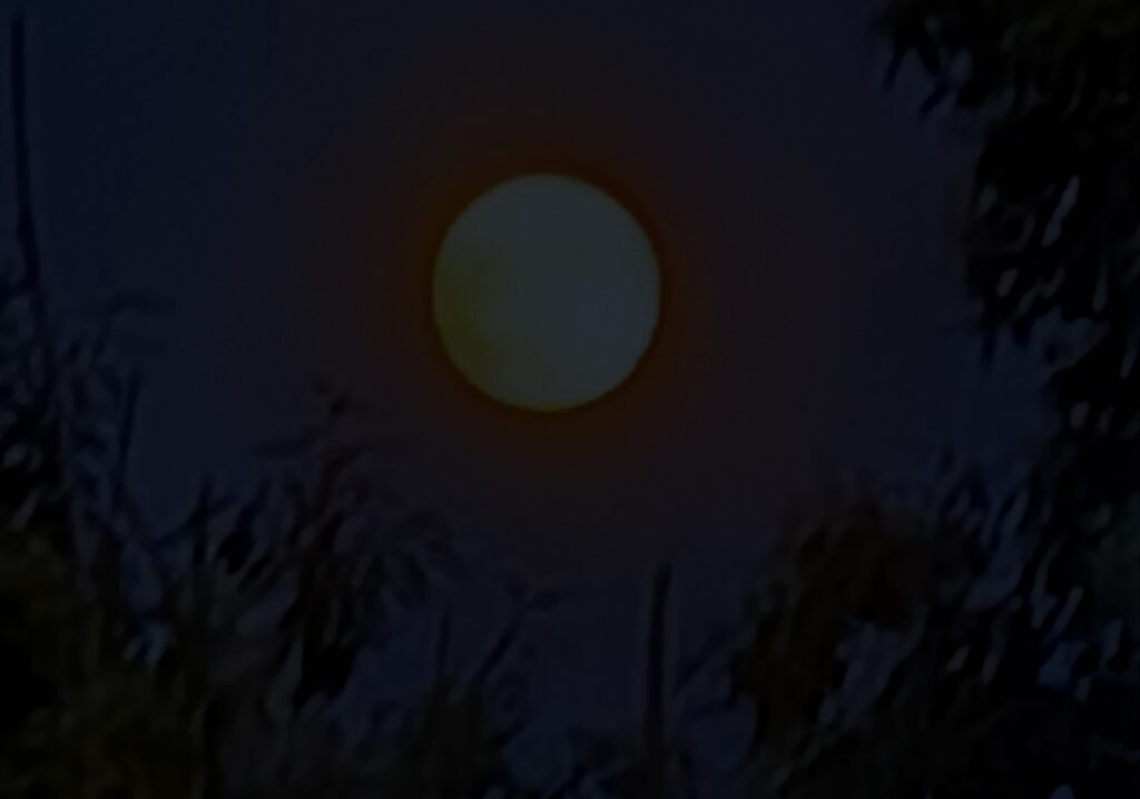 Luna intensa quasi poggiata sull'arco dei rami di due alberi